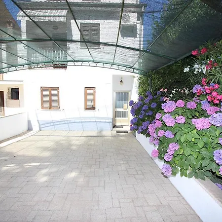 Bingo Rovinj